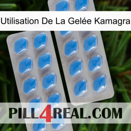 Utilisation De La Gelée Kamagra 23